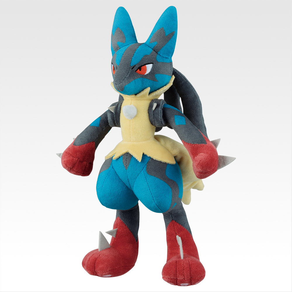 Pokemon Mega Evolution Kuji